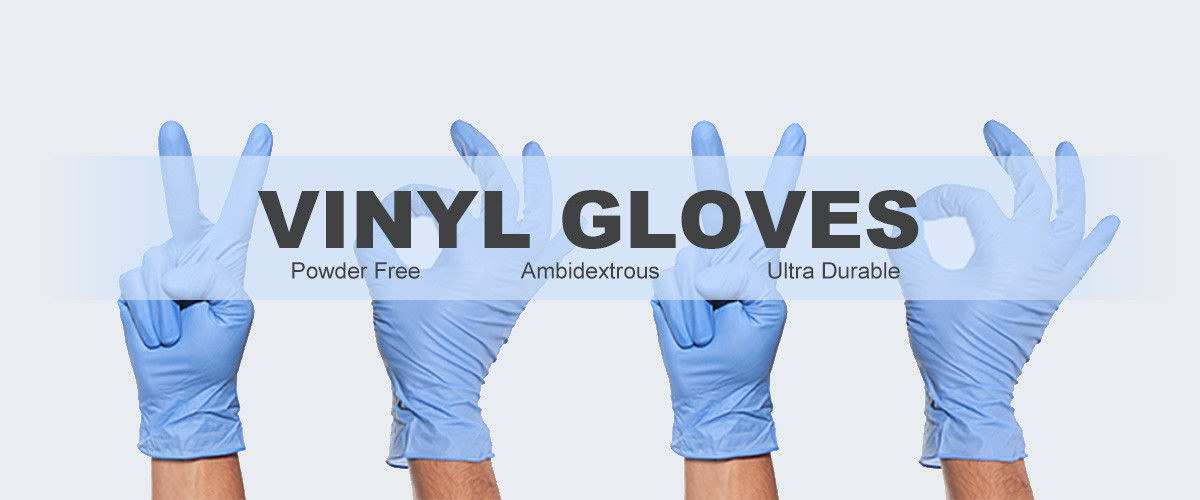 Medical Examination OEM Powder Free 0.10mm Disposable Plastic Gloves