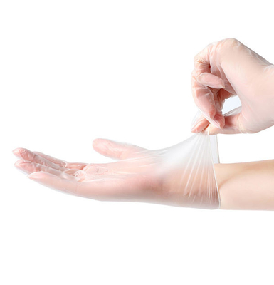 Clear Vinyl Exam Gloves Latex-Free Disposable Medical Gloves Cleaning Gloves Food Safe Powder-Free