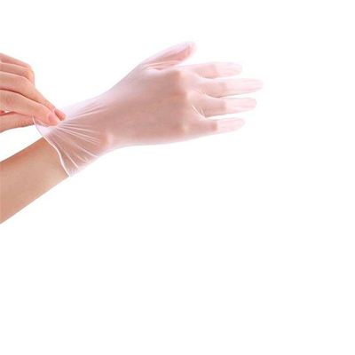 Powder Free Disposable Gloves Large -100 Pack -Clear Vinyl Medical Exam Gloves