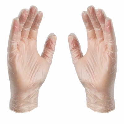 Clear Transparent Vinyl Hand Gloves Food Grade Service Powder Free Soft