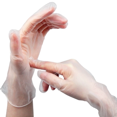 PVC Powder Free Household Cleaning Disposable Vinyl Gloves Clear Transparent