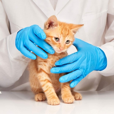 Blue Disposable Nitrile Gloves Industrial Grade With Powder Or Powder Free