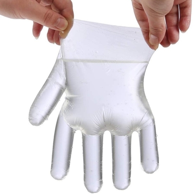 Polyethylene Disposable Food Prep Gloves 500 Piece Food Handling One Size Fits