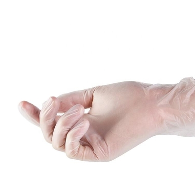 Food Service Transparent PVC Powder Free Vinyl Gloves Disposable
