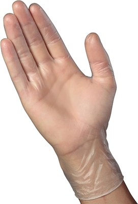 Clean Disposable Latex Free Beaded Cuff Gloves Vinyl 100ct Clear