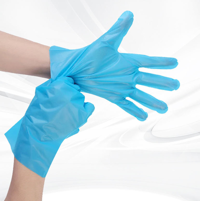 Transparent Rubber TPE Disposable Catering Gloves Blue