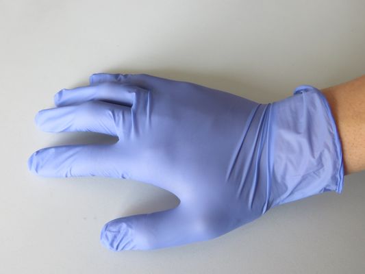 240mm Vinyl Examination Gloves