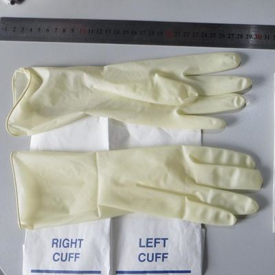 China powder free cheap white medical latex gloves latex coated examination