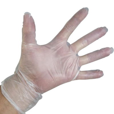 Fingertip Textured 100 Count Vinyl Examination Gloves Beaded Cuff