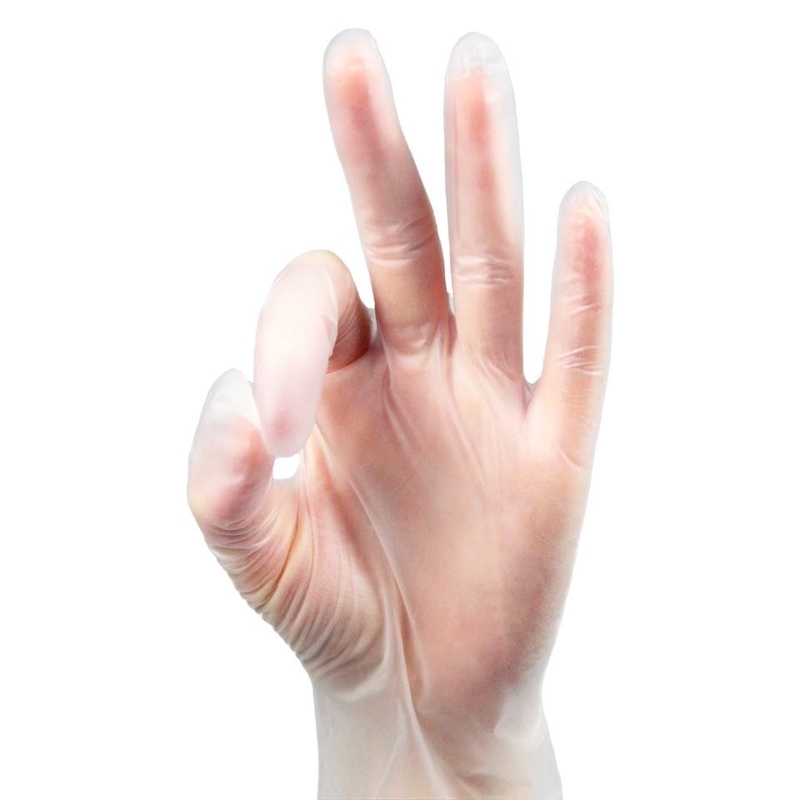 PVC Powder Free Disposable Vinyl Gloves Food Grade