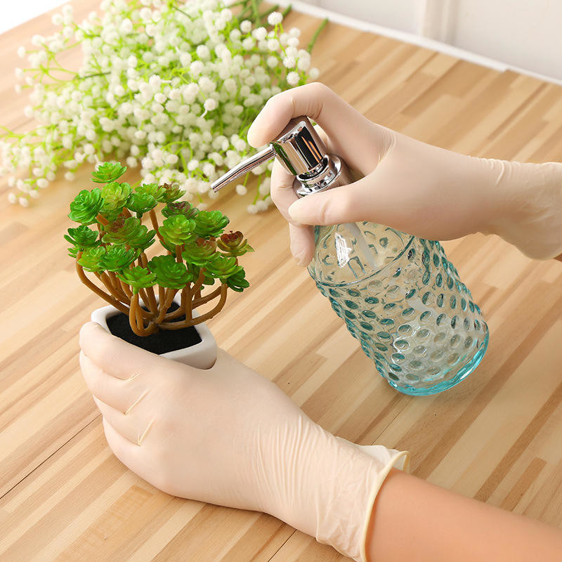 Clear Transparent Household Cleaning Disposable Vinyl Gloves PVC Powder Free