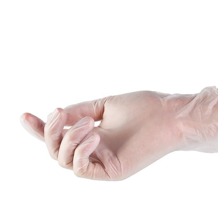 Food Service Transparent PVC Powder Free Vinyl Gloves Disposable