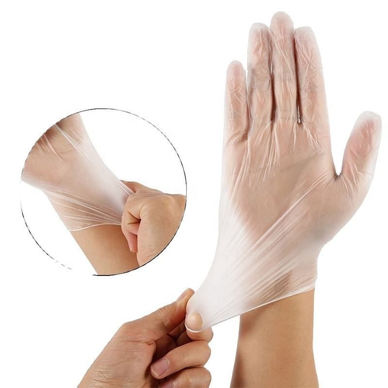 Latex Free 100 Per Box Powder Free Examination Vinyl Gloves