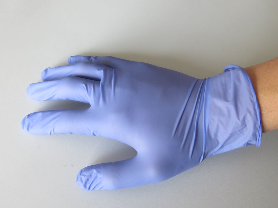 240mm Vinyl Examination Gloves