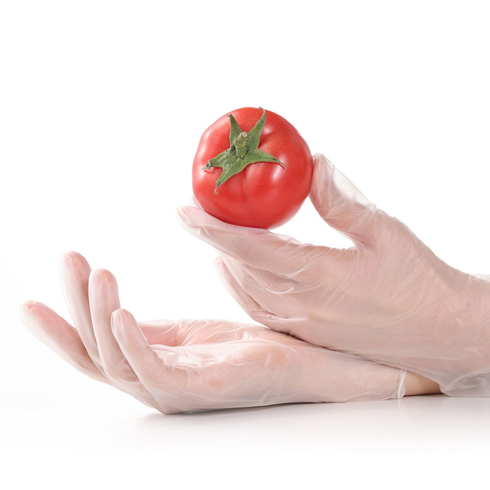 Latex Powder Free Clear Vinyl Gloves For Food Safe Service Use Cooking Cleaning