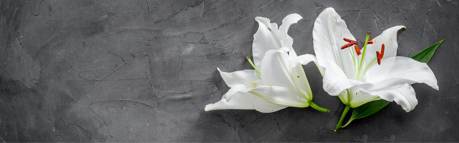 The Importance of PPE in the Death Care Field