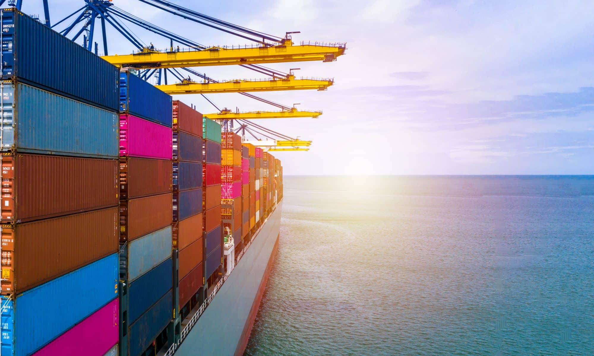 Logistics, Currency Issues Complicate Single-Use Glove Market